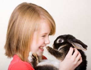 Декоративные кролики умеют целоваться
