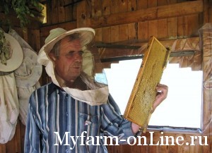 Основные работы на пасеке в 200 пчелиных семей