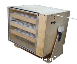 Основные нарушения при инкубации страусиных яиц