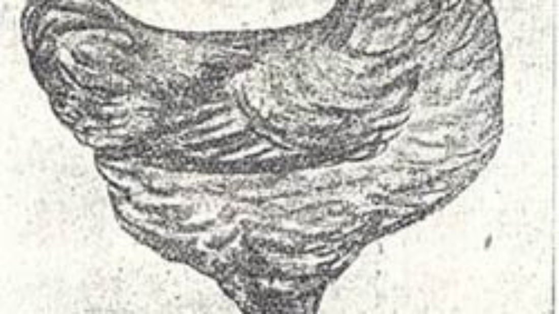 1238944960_statia1_clip_image008