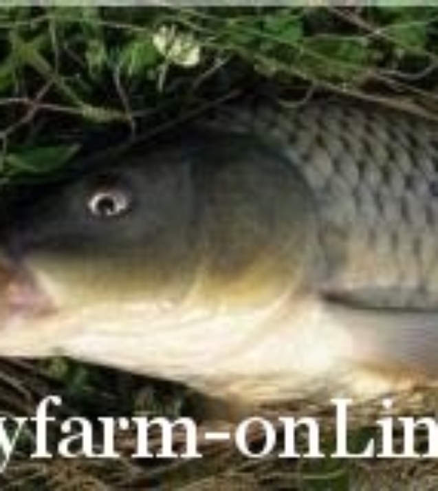 1246012879_big_ukraina_proisshestviya