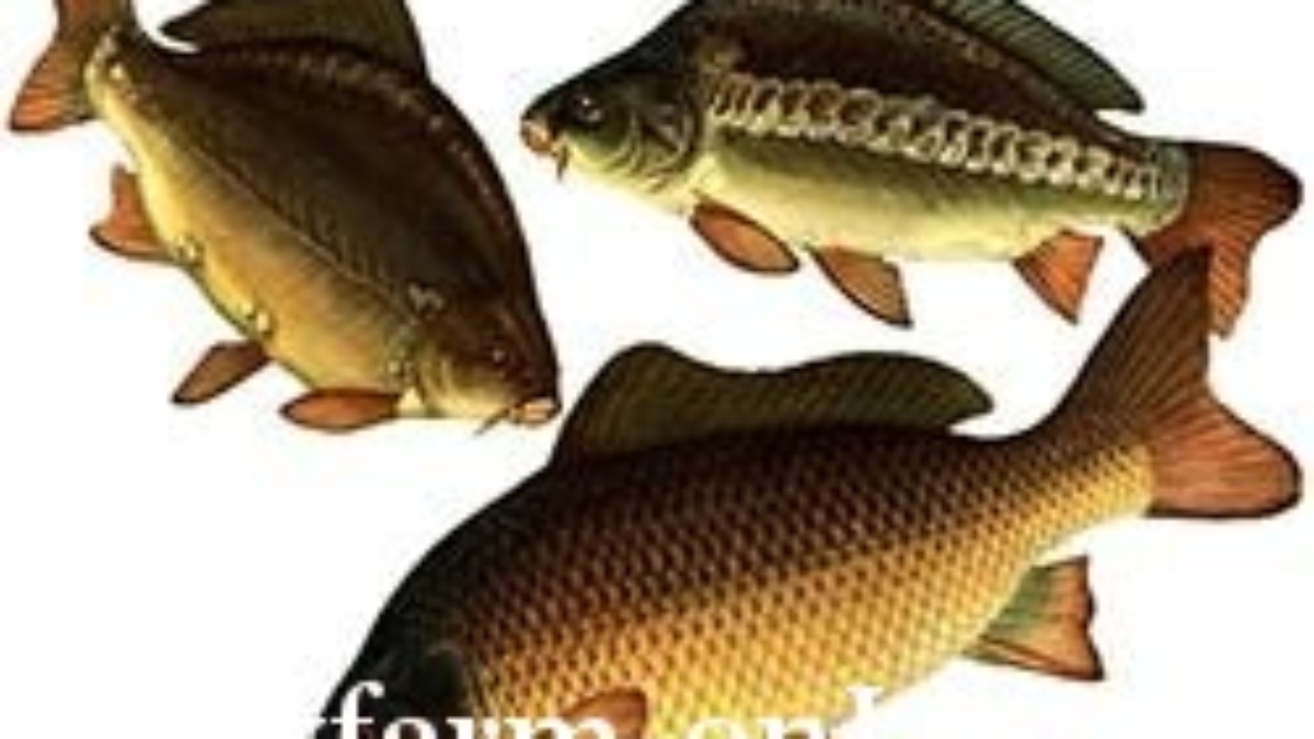 1246285121_noname99