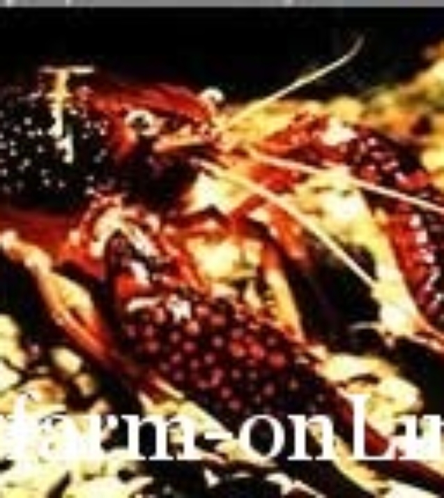1248245858_pclarkii