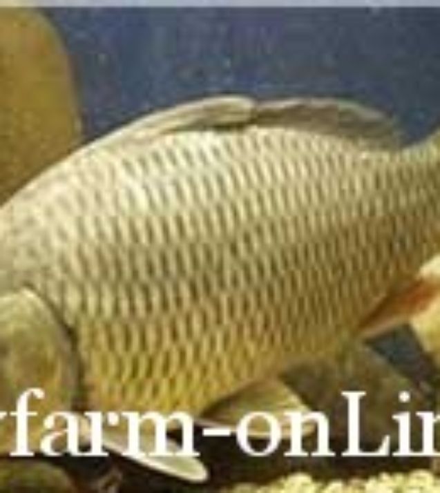 1248695698_karp3