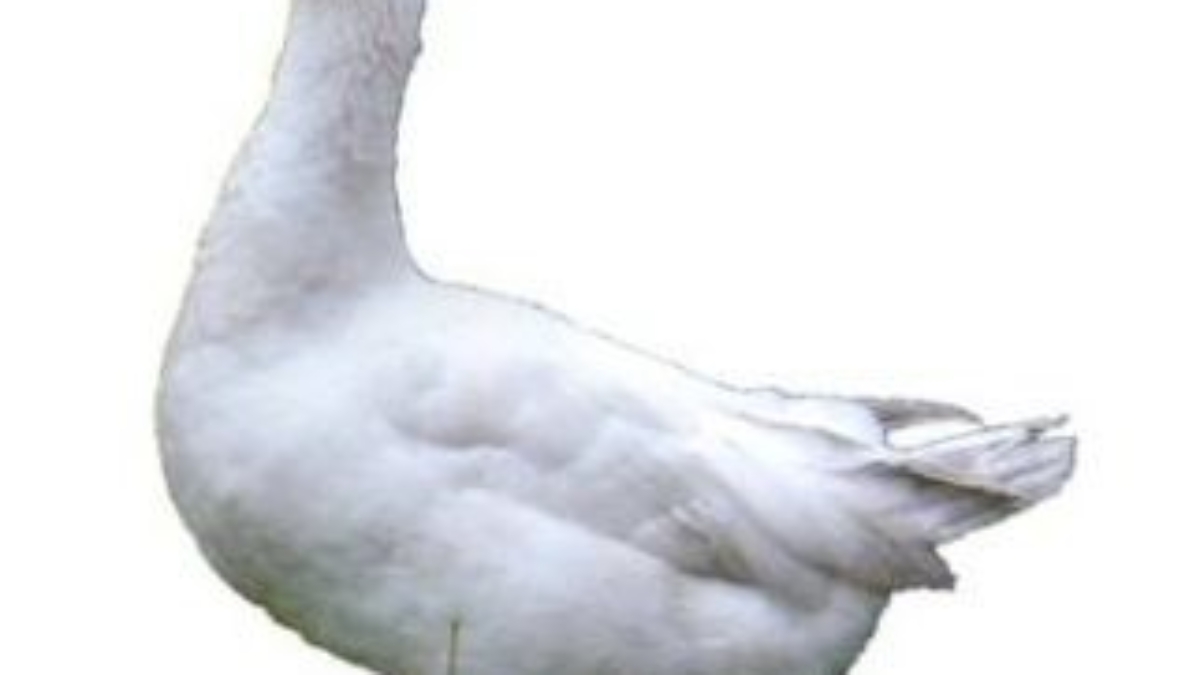 1253861633_image006