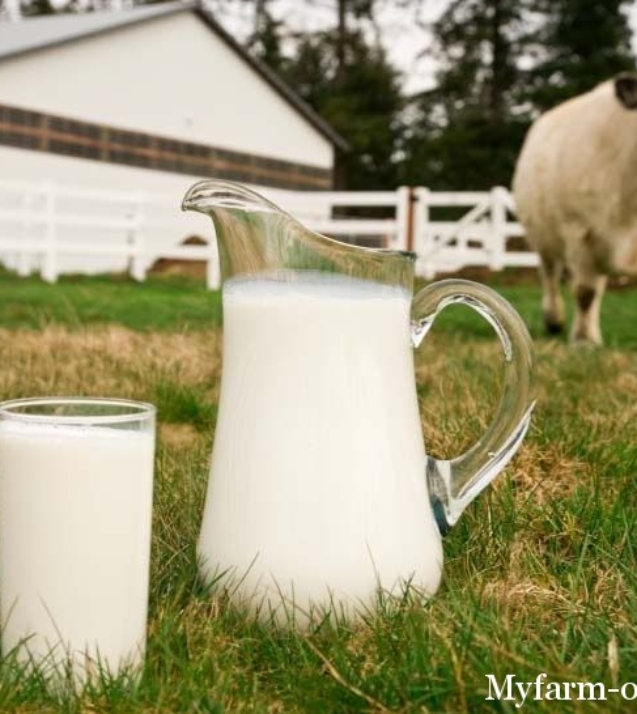 1314784274_milk_5