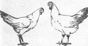 exterjer-plohoi-i-horoshei-nesushki