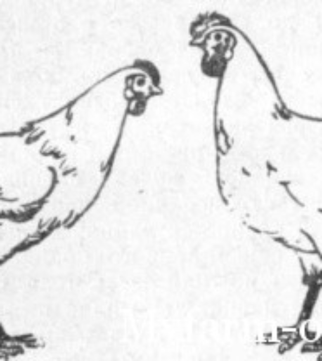 exterjer-plohoi-i-horoshei-nesushki