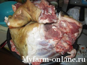 Купить мясо вьетнамской вислобрюхой свиньи