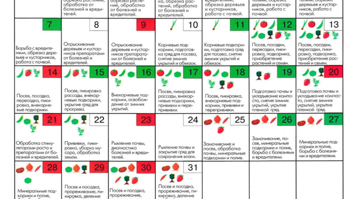 Посевной лунный календарь на март 2016