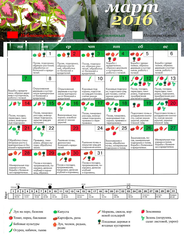 Посевной лунный календарь на март 2016