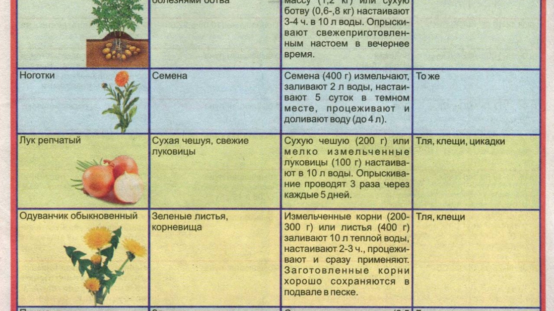 Защита растений от вредителей