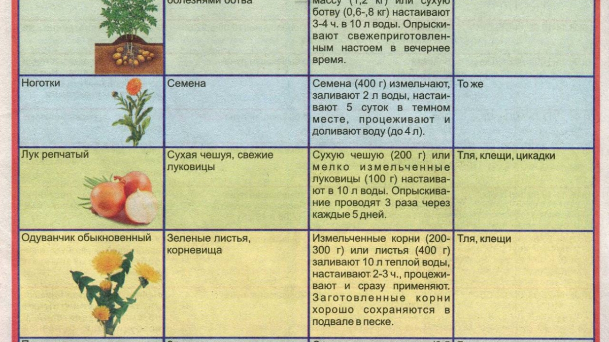 Защита растений от вредителей