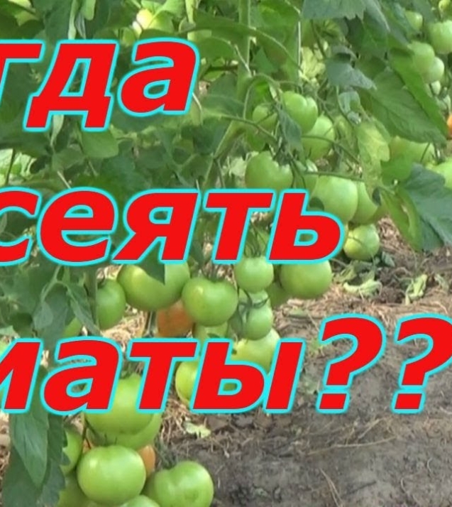 84bbfc21b159df9dc6b0d663e6d14b7a