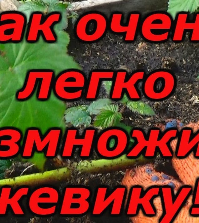 bc5fd18a2a2da85f3685b4724f593b12