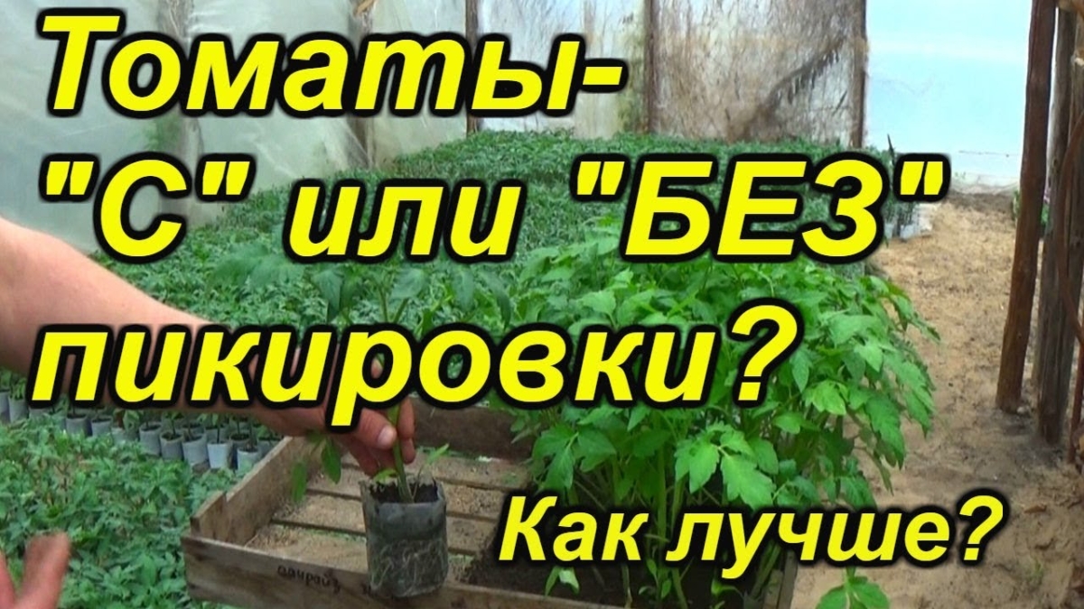 5c56e9ad1c474d1ae3a2a4d85cad8dd7