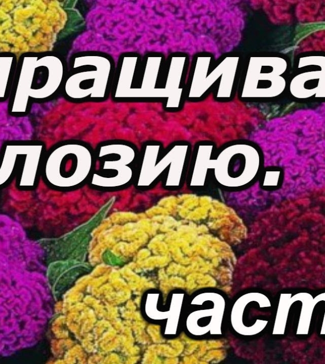 f0c8d4b59ce0dc3cdc356b529885c020