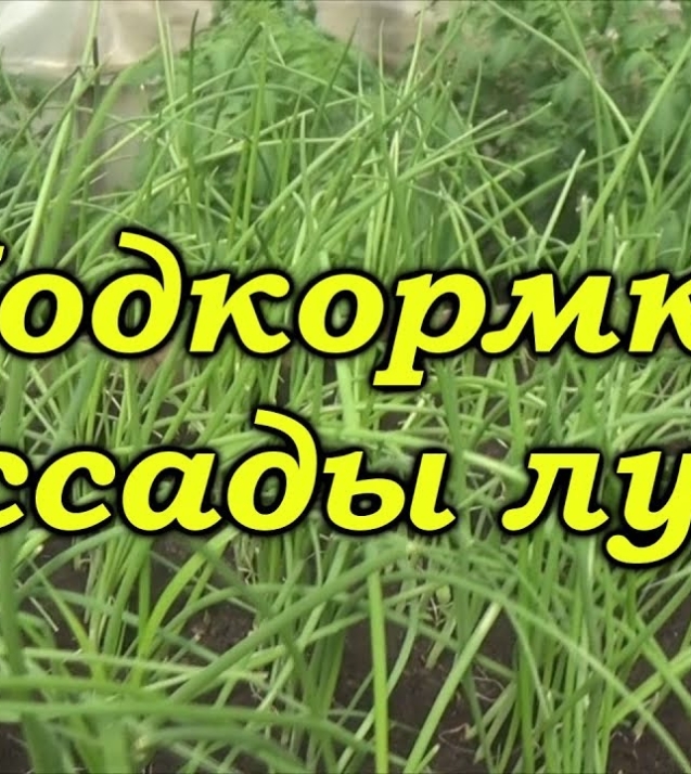 0f7ed0f322556d1218e82fc08d05558d