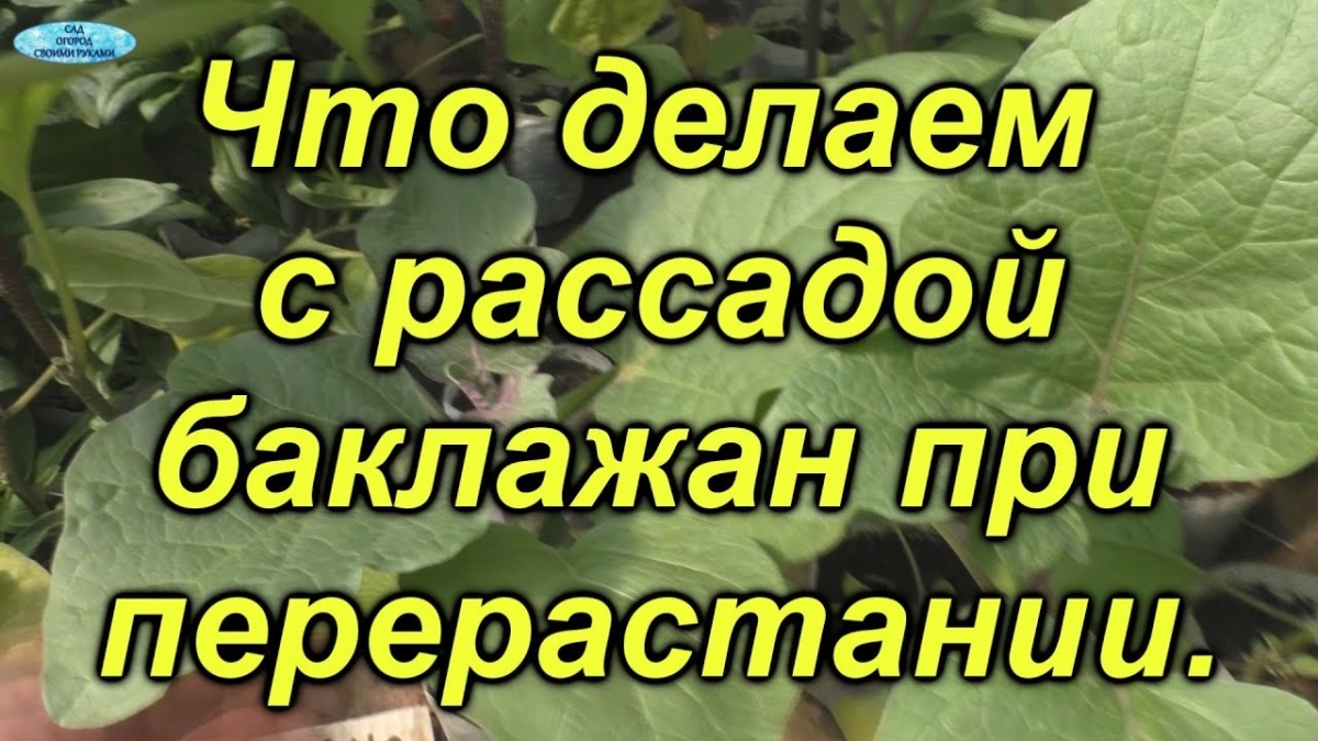 9f7319731e7b7a8c2cea21b70efc62ac