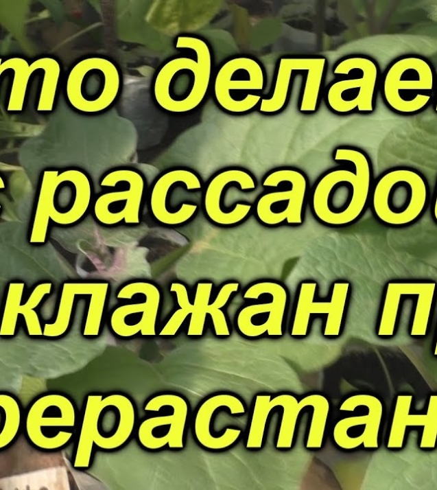 9f7319731e7b7a8c2cea21b70efc62ac