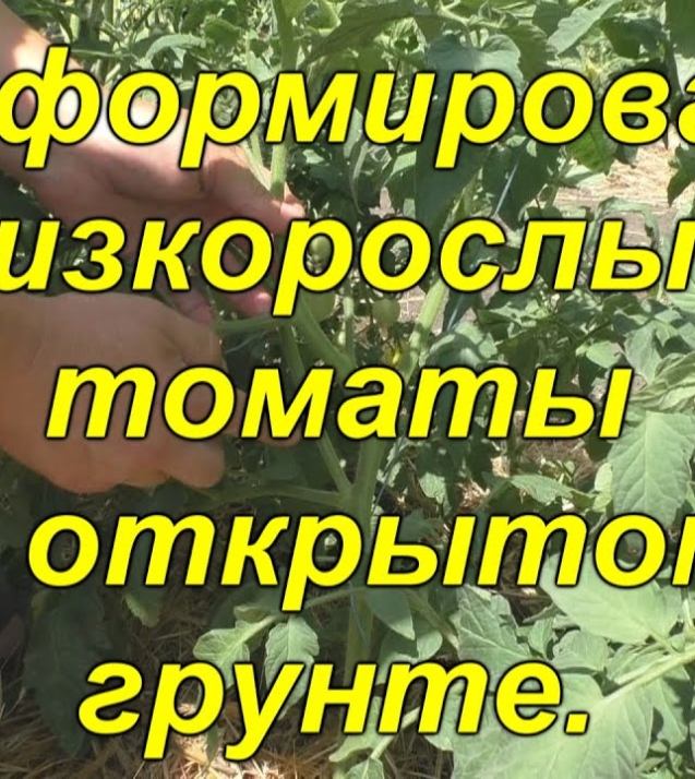3c82e2ecebea14a7e26aada98678f8da