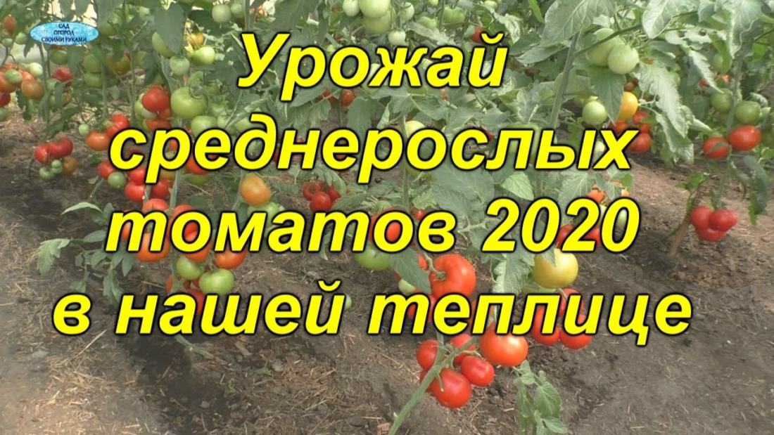 b9524c04306bbb156d258d0c6bd6b9b0