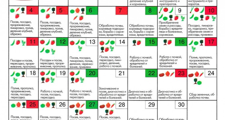 Посадка семян томатов по лунному календарю 2024. Благоприятные дни в апреле для пикирование рассады помидор. Пикировка томатов по лунному календарю. Благоприятные дни для пикировки томатов в марте. Благоприятные дни для пикирования помидоров.