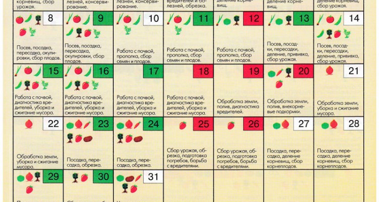 лунный посевной календарь огородника