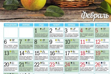 Смотреть лунный календарь огородника на 2017 год
