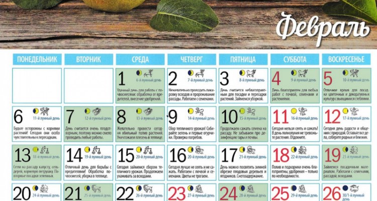 Смотреть лунный календарь огородника на 2017 год