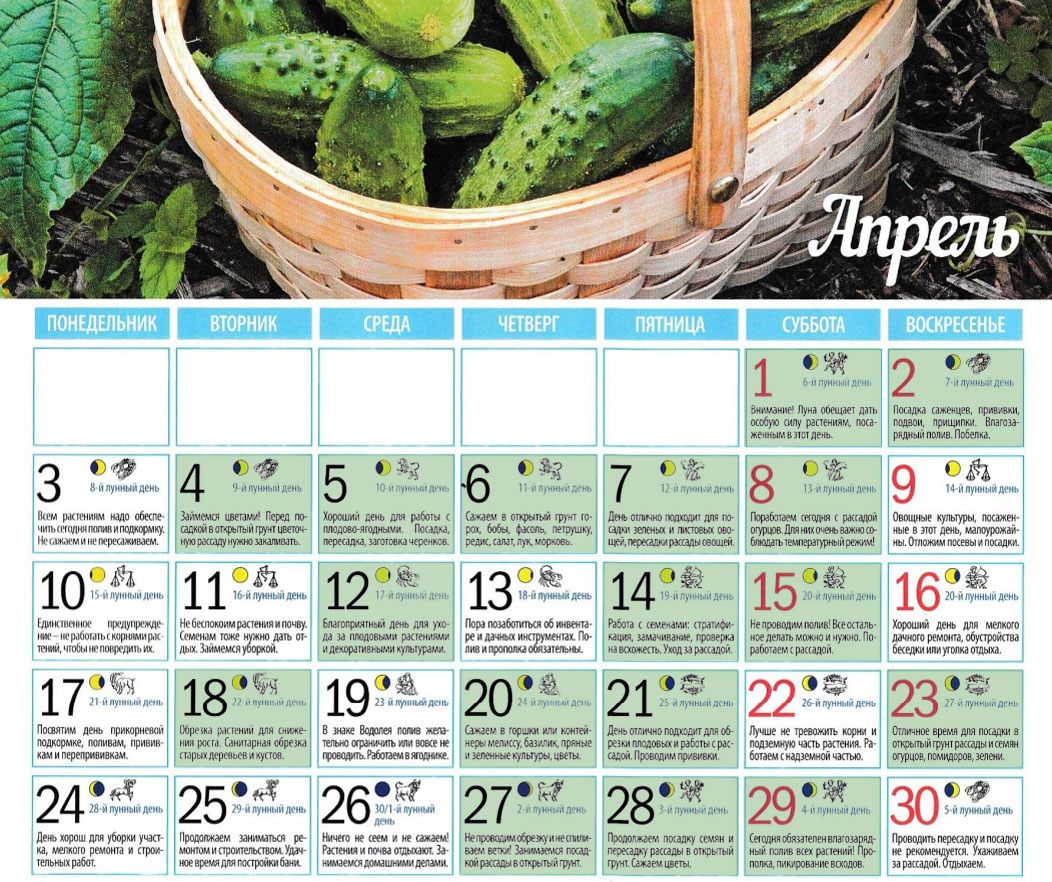 Календарь посева на апрель месяц