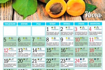 смотреть посевной лунный календарь на июнь 2017