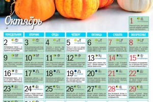 Смотреть посевной лунный календарь на октябрь 2017