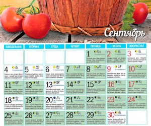 Смотреть посевной лунный календарь на сентябрь 2017