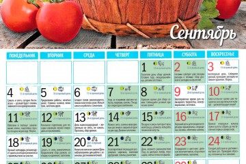 Смотреть посевной лунный календарь на сентябрь 2017